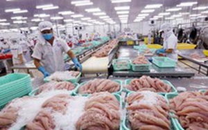 Campuchia cam kết tuân thủ tự do hóa thương mại sau vụ ngừng nhập khẩu 4 loại cá da trơn từ Việt Nam