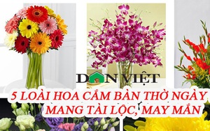 5 loại hoa cắm bàn thờ dịp Tết hút tài lộc, may mắn trong năm mới