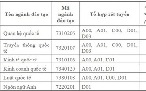 Học viện Ngoại giao xét tuyển dựa theo học bạ, phỏng vấn trực tiếp