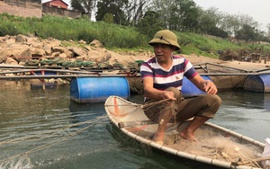 Phú Thọ: Cao thủ săn loài "sát thủ" cá râu dài da trơn tuột, ngạnh sắc nhọn trên Đà giang