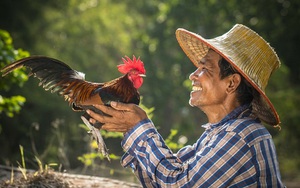 Sự tích tên gọi 'gà Mạnh Hoạch': Từ ông chủ quán trà đá đến chuỗi nhà hàng thương hiệu quốc dân hơn 20 năm tuổi tại Hải Dương