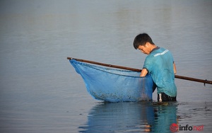 Mỗi ngày 2 giờ lội nước rũ lá cây, chàng trai kiếm nửa triệu