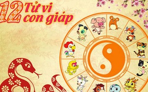5 con giáp có đầu óc nhạy bén, lanh lợi hơn người, kiếm tiền giỏi nhất trong số 12 con giáp