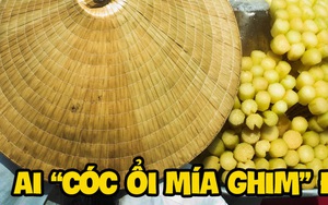 Thì ra đây là lý do mà người ta gọi món này là 'cóc ổi mía ghim', nghe đó giờ nhưng chưa chắc bạn để ý
