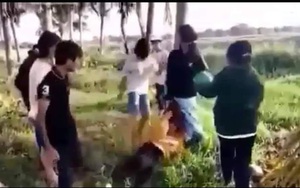 Cô gái trẻ bị nhóm nữ sinh đánh hội đồng, nam sinh đứng hò reo ở Tây Ninh