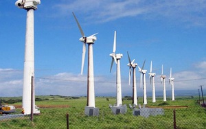 EVN có thể tiếp tục cắt giảm công suất điện gió ở mức cao do thừa điện