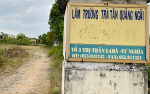 Quảng Ngãi: Cấp ngành của tỉnh nói về vụ Giám đốc quá tuổi hưu 4 năm xin… nghỉ hưu