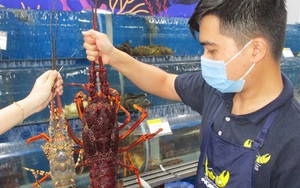 Tôm hùm, nho Úc giá rẻ đổ bộ Việt Nam