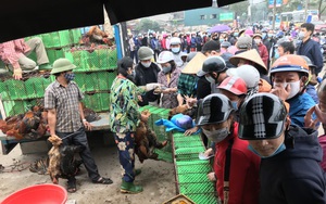 Người dân Hà Nội xếp hàng 'rồng rắn' giải cứu gà đồi Chí Linh