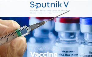 Chuyên gia y tế hàng đầu Mỹ đánh giá tích cực về vaccine Sputnik-V