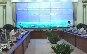 TP HCM: Đã có 6 hồ sơ tự ứng cử đại biểu Quốc hội, đại biểu HĐND