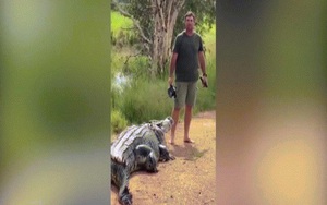Video: Bị cá sấu khổng lồ chặn đường, người đàn ông xử lý chỉ bằng chiếc mũ