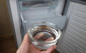 Mẹo tiết kiệm tiền điện tủ lạnh chỉ nhờ một bát nước, cách làm lại vô cùng đơn giản