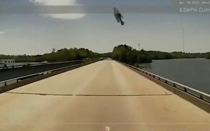 Đang lái xe, tài xế bỗng hoảng hồn khi thấy một chú cá bay thẳng vào kính xe