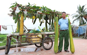 "Ông chú nông dân" khiến cả huyện nháo nhào vì cách bán hàng cao tay: Tinh túy đến từ xe đẩy 3 mét vuông