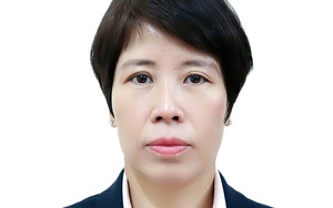 Chân dung tân nữ Thứ trưởng sinh năm 1971 của Bộ Kế hoạch và Đầu tư