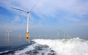 Việt Nam lọt "mắt xanh" đại gia hàng đầu thế giới về điện gió ngoài khơi nhờ sở hữu điều kiện tự nhiên tốt nhất và phù hợp nhất ĐNÁ