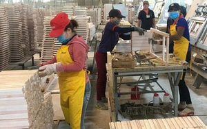 Nhà đầu tư Trung Quốc dẫn đầu về FDI rót vào ngành gỗ Việt