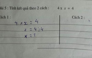 Bài toán: 'Tìm cách giải cho 4x = 4', ai cũng trả lời bằng 1 ngon ơ, nhưng kết quả thực sự lại khiến nhiều người 'bó tay'