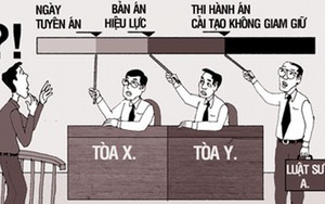 Tội danh nào được áp dụng hình phạt cải tạo không giam giữ?