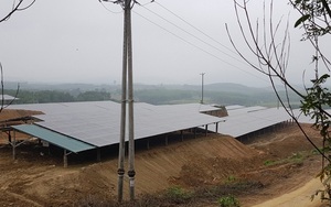 Hàng loạt dự án điện mặt trời lách luật, 'núp bóng' trang trại, lợi dụng ưu đãi ở Hà Tĩnh