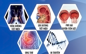 Điểm mặt “thủ phạm” gây tiểu máu