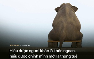 3 ưu điểm của những người "thích ở 1 mình": Cái số 1 cực kỳ quan trọng