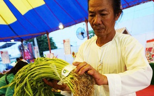 Trồng rau muống, lão nông ở Cần Thơ xây 6 cây cầu tặng người dân