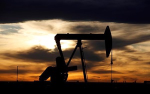 Giá dầu tăng 35%, OPEC vẫn dự báo nhu cầu bùng nổ
