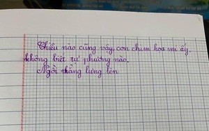 Mẹ đọc bài viết chính tả, con lầy lội viết một điều, dân mạng xem xong chỉ biết cười bò, mẹ thì tức anh ách