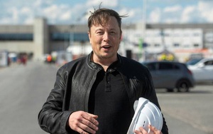 Kinh doanh kiểu Elon Musk: Dự định mua đứt một nhà máy chip vì thiếu chip để sản xuất ô tô