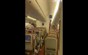 Video: Sốc với con vật bay trong khoang hành khách máy bay khởi hành từ Ấn Độ