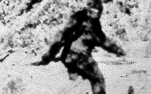 Treo thưởng 3 triệu USD cho Bigfoot