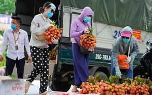 Đội nắng, xếp hàng mua vải ủng hộ nông dân Bắc Giang