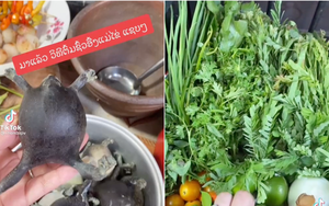 Người Thái sở hữu 1 món "siêu kinh dị", có người vừa thấy đã "ngất xỉu" tại chỗ nhưng ở Việt Nam cũng ăn con vật này?