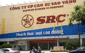 Cao su Sao Vàng (SRC) bổ sung đăng ký kinh doanh sắt thép giữa lúc giá tăng phi mã