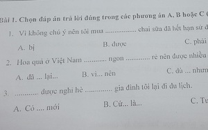 Bài thi năng lực tiếng Việt ở Nhật đọc mà sang chấn vì toàn ngữ pháp khó, đến người Việt cũng xin bó tay