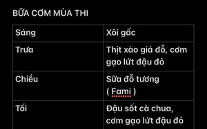 Nữ sinh chia sẻ bảng thực đơn ăn trong 1 ngày, toàn đồ đơn giản nhưng lại thu về 20.000 like nhờ bí quyết này?