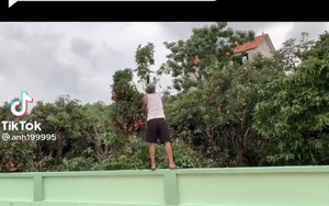 Cô gái khoe cây vải "phản chủ" mọc lấn hàng rào nhà mình, ngay lập tức hàng xóm có động thái "dằn mặt" hết đường ăn free!