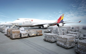 Đề xuất lập hãng IPP Air Cargo của ông Johnathan Hạnh Nguyễn có thể chỉ được xem xét khi thị trường hàng không phục hồi?