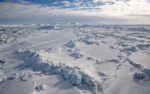Tiết lộ mới về người đầu tiên phát hiện châu Nam Cực