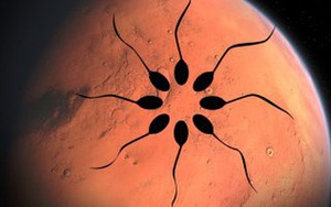 Con người có thể sinh sản trên sao Hỏa vì tinh trùng có thể tồn tại trên đó tới 200 năm