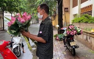 Hải Dương: Chính quyền thừa nhận phạt nhầm, người nông dân bán hoa sen nhận lại 2 triệu đồng