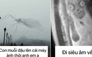 23 bức ảnh có visual không hề thoải mái, xem từ đầu tới cuối chỉ thấy rờn rợn trong lòng