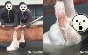 Trôi lênh đênh trên biển suốt 1 đêm, cô gái không biết bơi vẫn sống sót thần kỳ, cõi mạng nháo nhào vì nguyên nhân quá mức khó tin