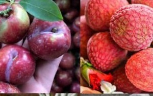 Ăn hoa quả vẫn tăng cân vì sao?