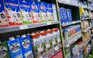 Trung Quốc đối mặt 'cơn khát' sữa trước thách thức không có đủ bò