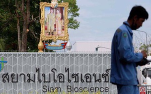 Công ty của nhà vua Thái Lan bắt đầu sản xuất vaccine AstraZeneca