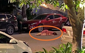 Những chiêu độc của “thánh lừa” bán hàng online