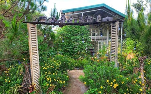 Phòng nghỉ nhà giàu villa, farmstay giá rẻ ngang nhà trọ, chủ mời khách đến ở cho có hơi người
